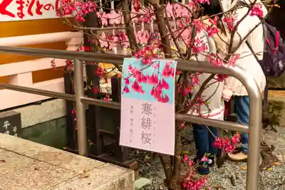 加藤神社(熊本県)