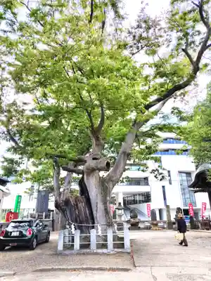 阿邪訶根神社(福島県)