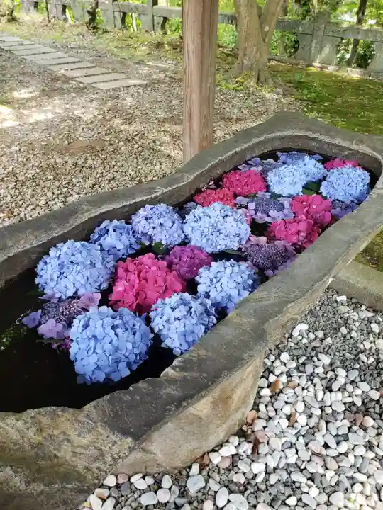 福母八幡宮の手水舎