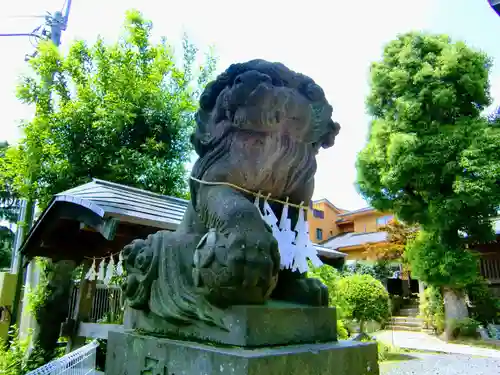 鳩ヶ谷氷川神社の狛犬