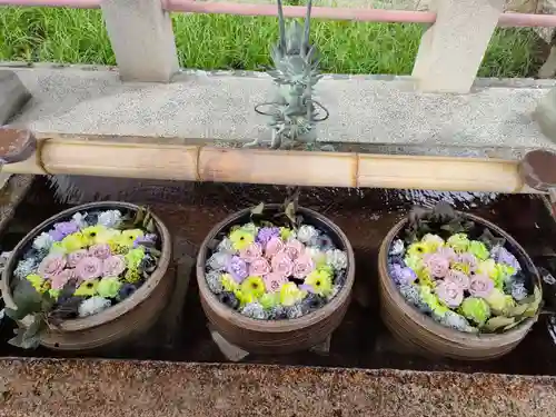 津島神社の手水舎