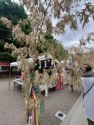 浅草神社のお祭り