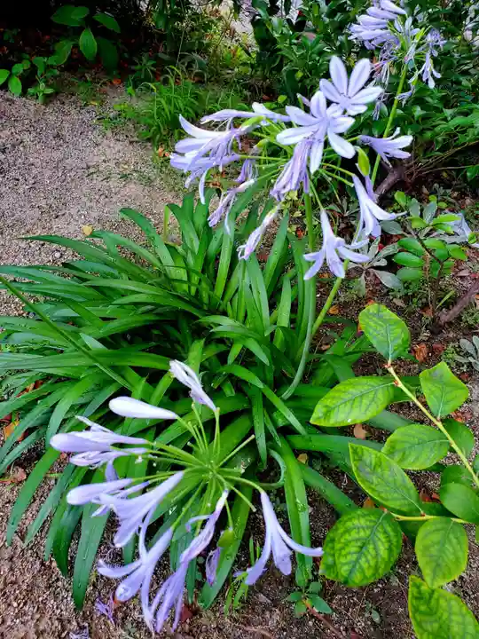 阿邪訶根神社(福島県)