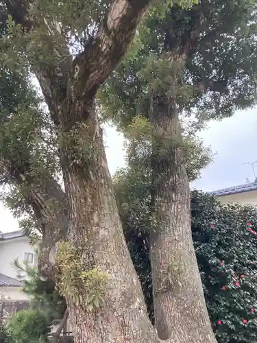 素鵞神社の自然