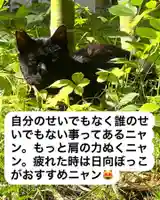 専念寺(大阪府)