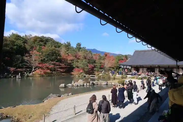 天龍寺の庭園
