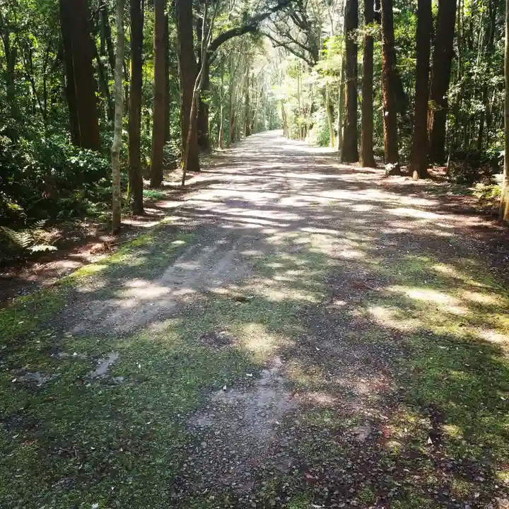 鹿島神宮の自然