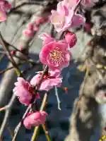 綱敷天満宮の{uncategorized: "未分類", other: "その他", undefined: "問題あり", building: "その他建物", grave: "お墓", sacred_gate: "鳥居", guardian: "狛犬", statue: "像", buddha: "仏像", history: "歴史", nature: "自然", garden: "庭園", animal: "動物", pagoda: "塔", temizu: "手水舎", mountain_gate: "山門・神門", sanctuary: "本殿・本堂", subordinate: "末社・摂社", art: "芸術", scenery: "景色", jizo: "地蔵", ema: "絵馬", goshuin: "御朱印", omikuji: "おみくじ", items: "授与品その他", amulet: "お守り", goshuincho: "御朱印帳", eats: "食事", festival: "お祭り", votive_dance: "神楽", shichigosan: "七五三参", wedding: "結婚式", experience: "体験その他", initially: "初詣", around: "周辺", anti_infection: "感染症対策"}