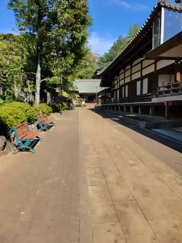 妙法寺(東京都)