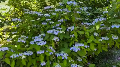 日體寺(京都府)