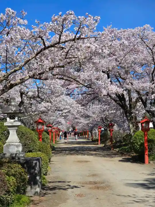 涼ケ岡八幡神社の{uncategorized: "未分類", other: "その他", undefined: "問題あり", building: "その他建物", grave: "お墓", sacred_gate: "鳥居", guardian: "狛犬", statue: "像", buddha: "仏像", history: "歴史", nature: "自然", garden: "庭園", animal: "動物", pagoda: "塔", temizu: "手水舎", mountain_gate: "山門・神門", sanctuary: "本殿・本堂", subordinate: "末社・摂社", art: "芸術", scenery: "景色", jizo: "地蔵", ema: "絵馬", goshuin: "御朱印", omikuji: "おみくじ", items: "授与品その他", amulet: "お守り", goshuincho: "御朱印帳", eats: "食事", festival: "お祭り", votive_dance: "神楽", shichigosan: "七五三参", wedding: "結婚式", experience: "体験その他", initially: "初詣", around: "周辺", anti_infection: "感染症対策"}