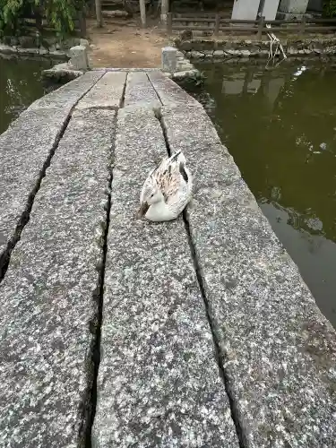 住吉神社(山口県)