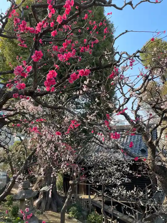 西向天神社(東京都)