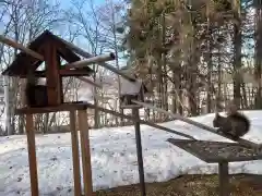 八幡神社(北海道)