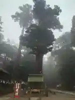 鹿島神宮(茨城県)