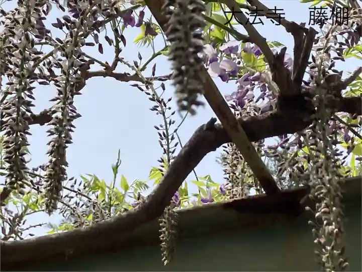 国宝 大法寺(長野県)