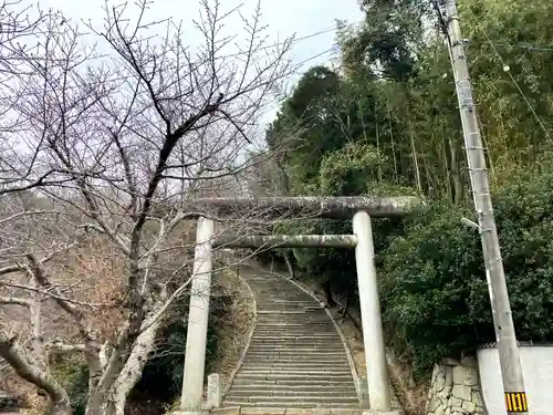 多和神社(香川県)
