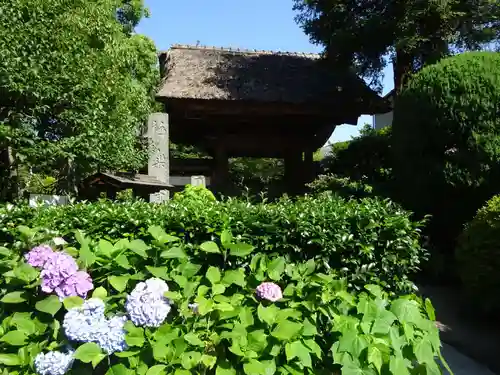 極楽寺（霊鷲山感應院極楽律寺）の山門