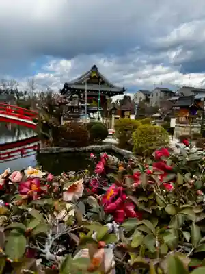神泉苑(京都府)