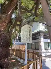 富知六所浅間神社の自然