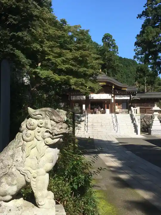 高麗神社の狛犬