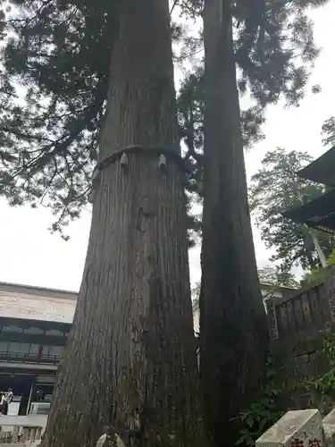 三峯神社(埼玉県)