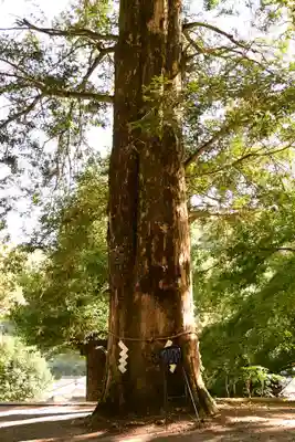 富貴寺(大分県)