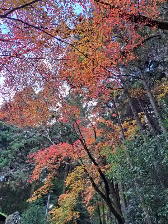 日吉大社(滋賀県)