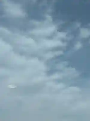 太田姫稲荷神社(東京都)