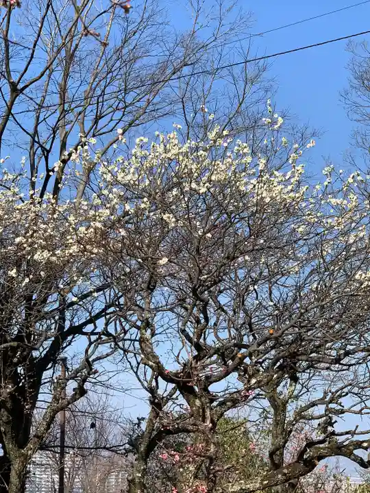 意賀美神社(大阪府)