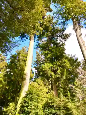 香取神宮(千葉県)