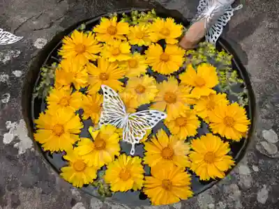 真言宗　善通寺派　薬王寺(香川県)