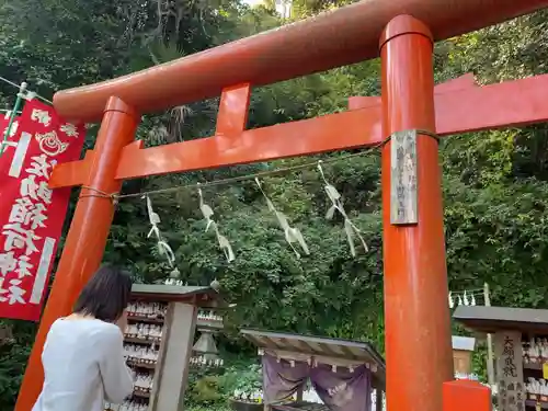 佐助稲荷神社の鳥居