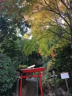 武州柿生琴平神社の鳥居