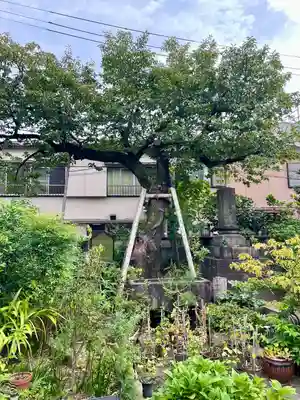 谷中 妙福寺(東京都)