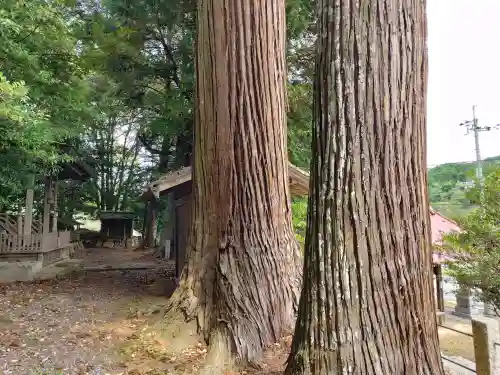 志波加神社の{uncategorized: "未分類", other: "その他", undefined: "問題あり", building: "その他建物", grave: "お墓", sacred_gate: "鳥居", guardian: "狛犬", statue: "像", buddha: "仏像", history: "歴史", nature: "自然", garden: "庭園", animal: "動物", pagoda: "塔", temizu: "手水舎", mountain_gate: "山門・神門", sanctuary: "本殿・本堂", subordinate: "末社・摂社", art: "芸術", scenery: "景色", jizo: "地蔵", ema: "絵馬", goshuin: "御朱印", omikuji: "おみくじ", items: "授与品その他", amulet: "お守り", goshuincho: "御朱印帳", eats: "食事", festival: "お祭り", votive_dance: "神楽", shichigosan: "七五三参", wedding: "結婚式", experience: "体験その他", initially: "初詣", around: "周辺", anti_infection: "感染症対策"}
