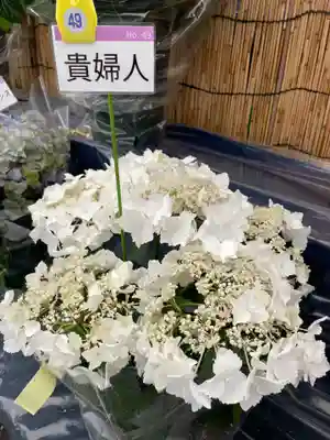 長國寺(東京都)