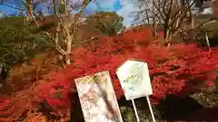 出雲大神宮の自然