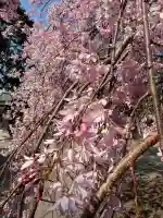 太道教本部の{uncategorized: "未分類", other: "その他", undefined: "問題あり", building: "その他建物", grave: "お墓", sacred_gate: "鳥居", guardian: "狛犬", statue: "像", buddha: "仏像", history: "歴史", nature: "自然", garden: "庭園", animal: "動物", pagoda: "塔", temizu: "手水舎", mountain_gate: "山門・神門", sanctuary: "本殿・本堂", subordinate: "末社・摂社", art: "芸術", scenery: "景色", jizo: "地蔵", ema: "絵馬", goshuin: "御朱印", omikuji: "おみくじ", items: "授与品その他", amulet: "お守り", goshuincho: "御朱印帳", eats: "食事", festival: "お祭り", votive_dance: "神楽", shichigosan: "七五三参", wedding: "結婚式", experience: "体験その他", initially: "初詣", around: "周辺", anti_infection: "感染症対策"}