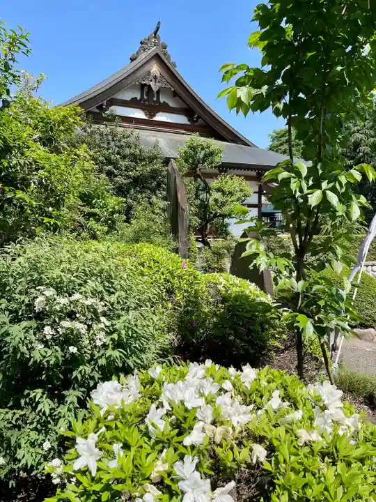 宝泉寺(東京都)