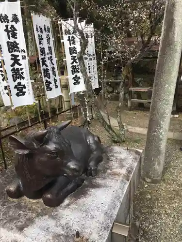 針綱神社の狛犬