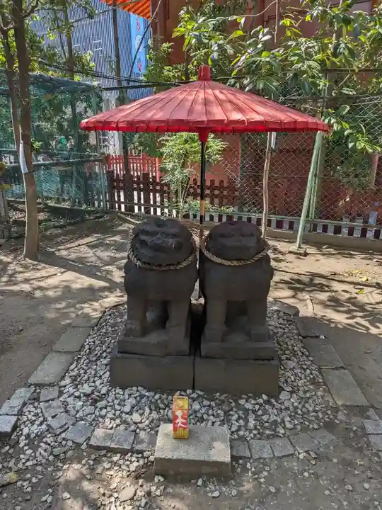 浅草神社の狛犬