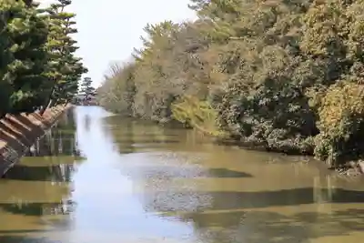 百舌鳥八幡宮(大阪府)