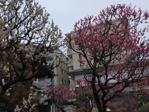 根岸山大聖院覺王寺(神奈川県)