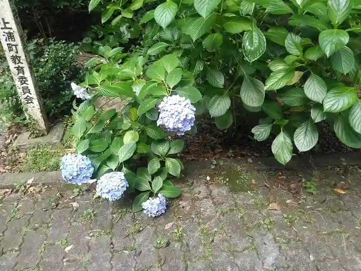 瀧三柱神社の自然