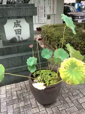 成田山 萬福院(愛知県)