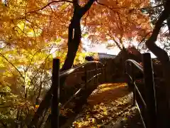 行道山 浄因寺(栃木県)