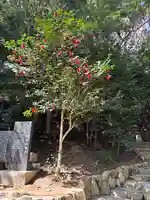 勝岡八幡神社(愛媛県)