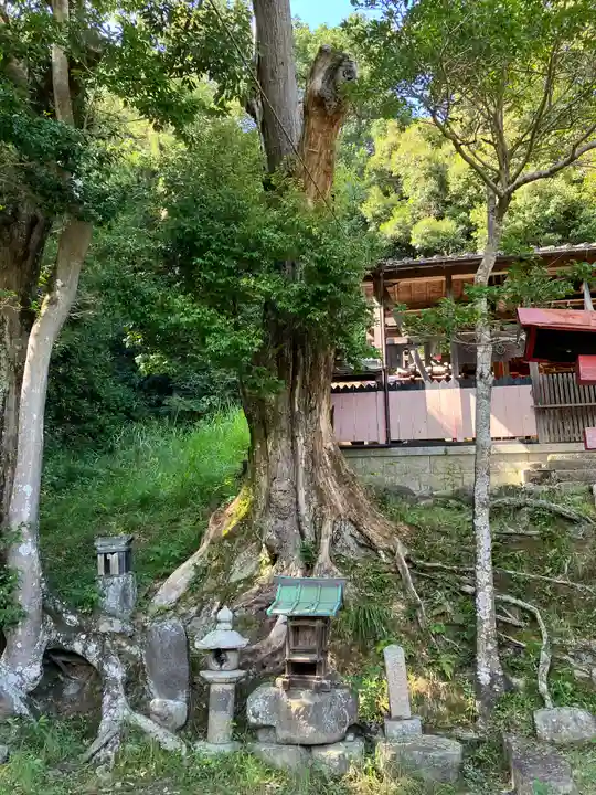 白山神社(京都府)