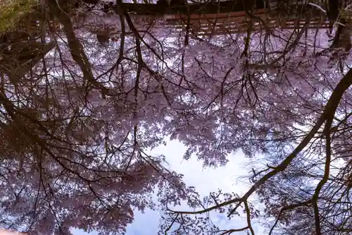 新城藤原神社(長野県)